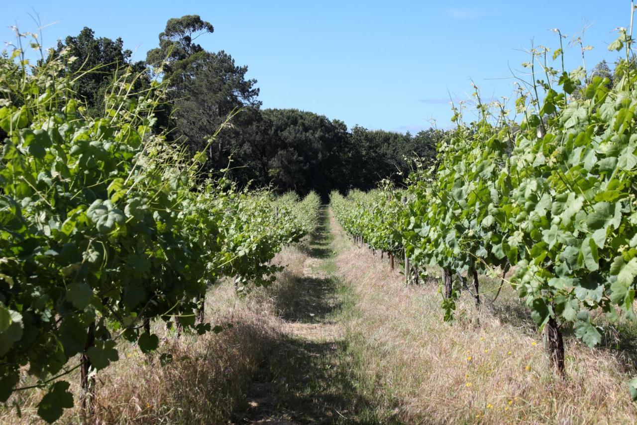 Quinta De Chousas - Braga - Agroturismo מראה חיצוני תמונה