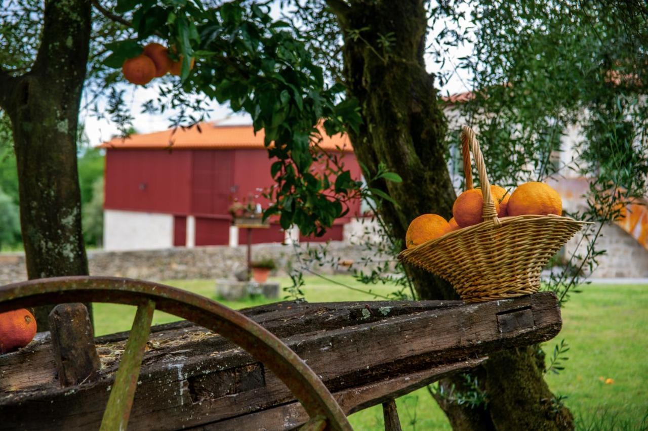 Quinta De Chousas - Braga - Agroturismo מראה חיצוני תמונה