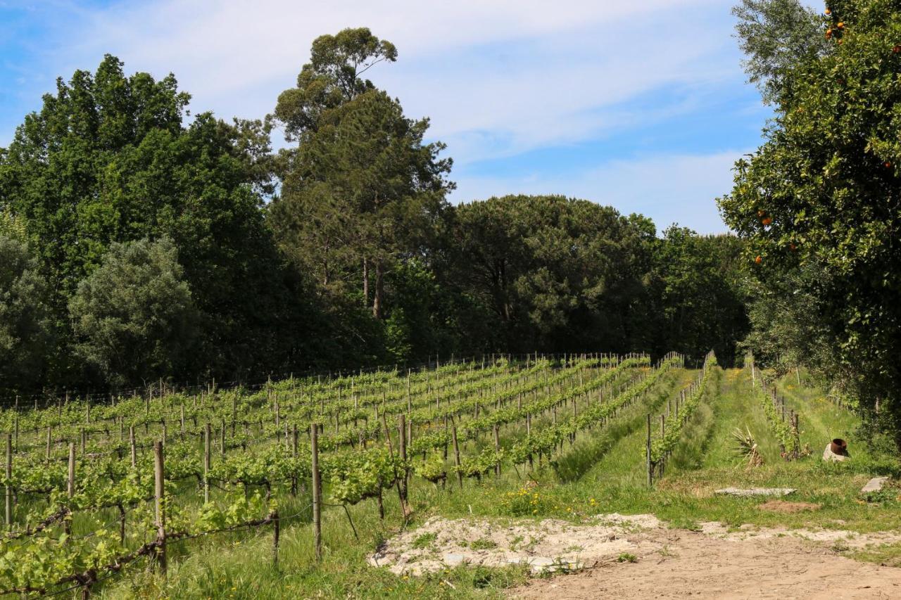 Quinta De Chousas - Braga - Agroturismo מראה חיצוני תמונה